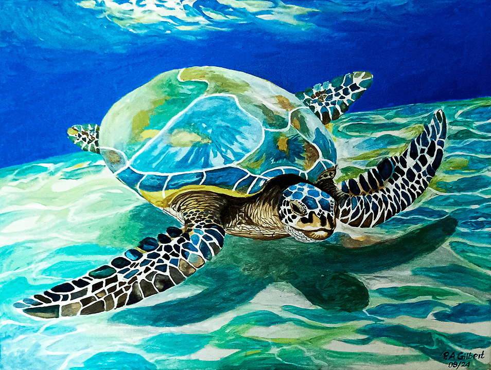 Turtle, Original Painting – Seychelles Fine Art